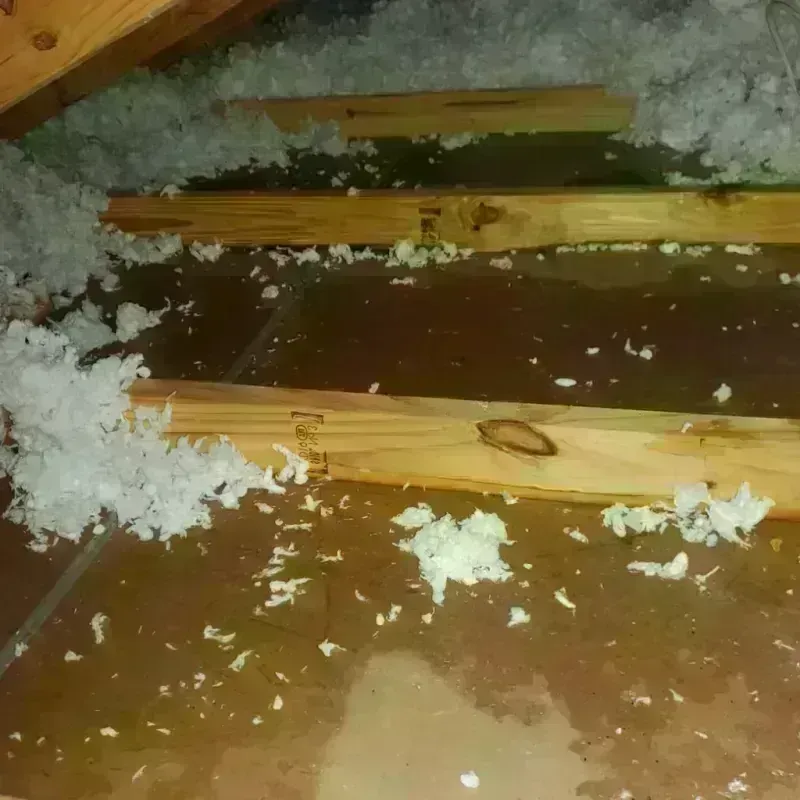 Attic Water Damage in West Ferriday, LA